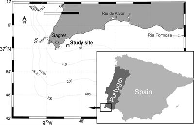 Dinoflagellate Assemblages in the West Iberian Upwelling Region (Sagres, Portugal) During 1994–2001